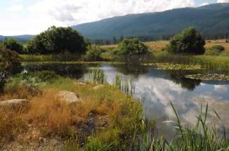 Clio And The Mohawk Valley